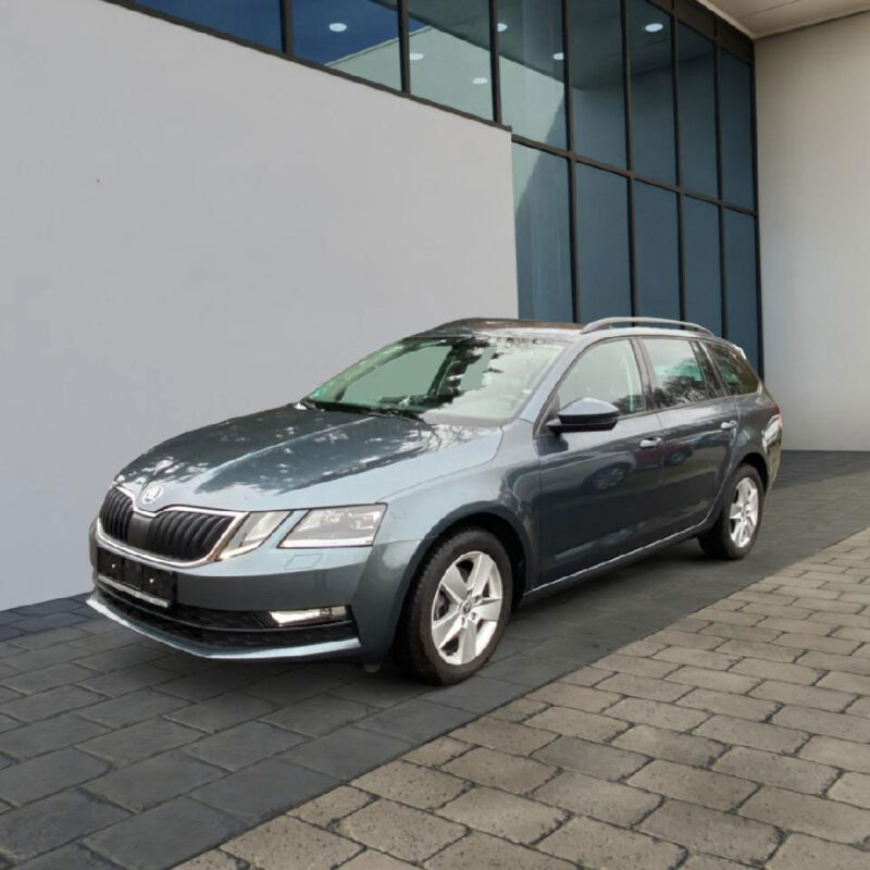 SKODA Octavia, navigation system, heated seats, rear camera, rear PDC, LED headlights